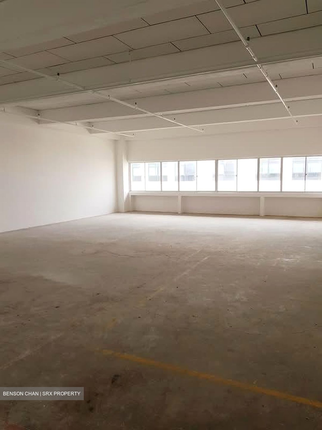Perfect One (D13), Warehouse #547241711